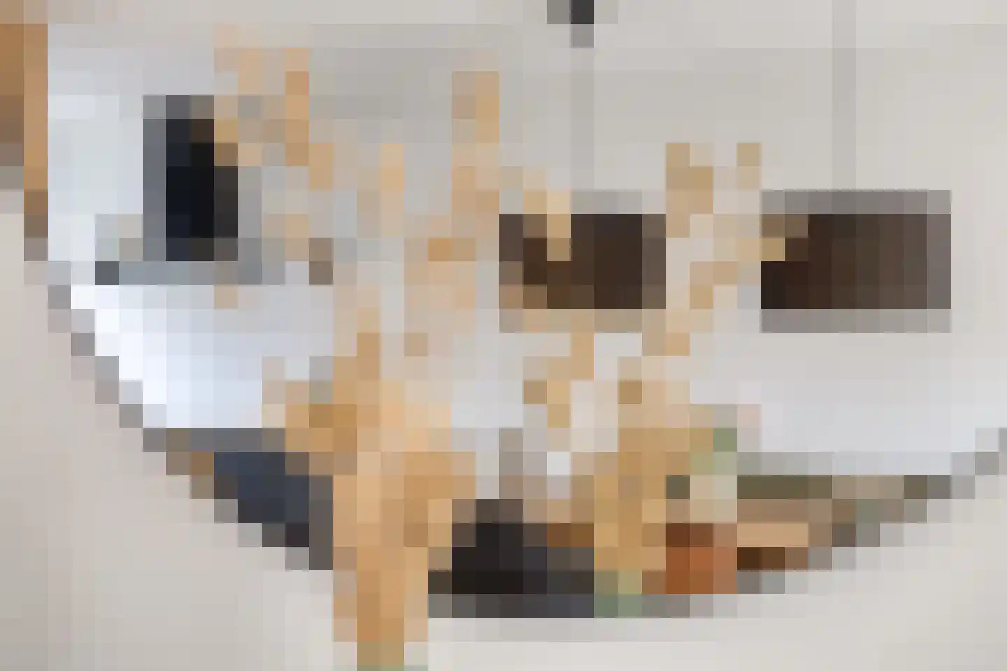 De Nolle 27 Haaksbergen thumbnail 13