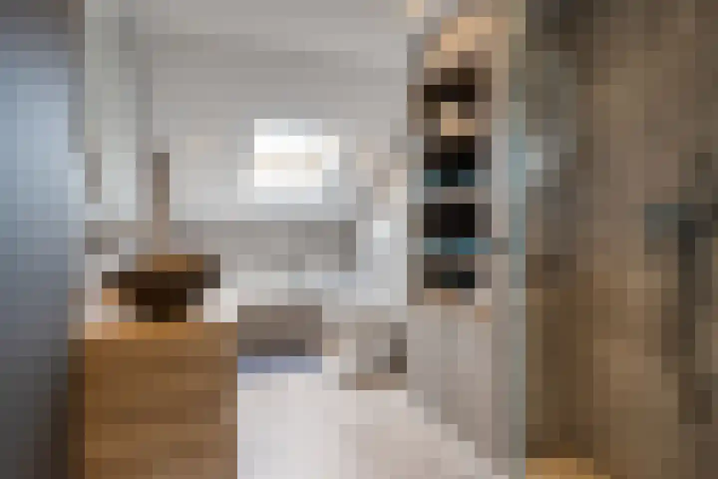 De Nolle 27 Haaksbergen thumbnail 22