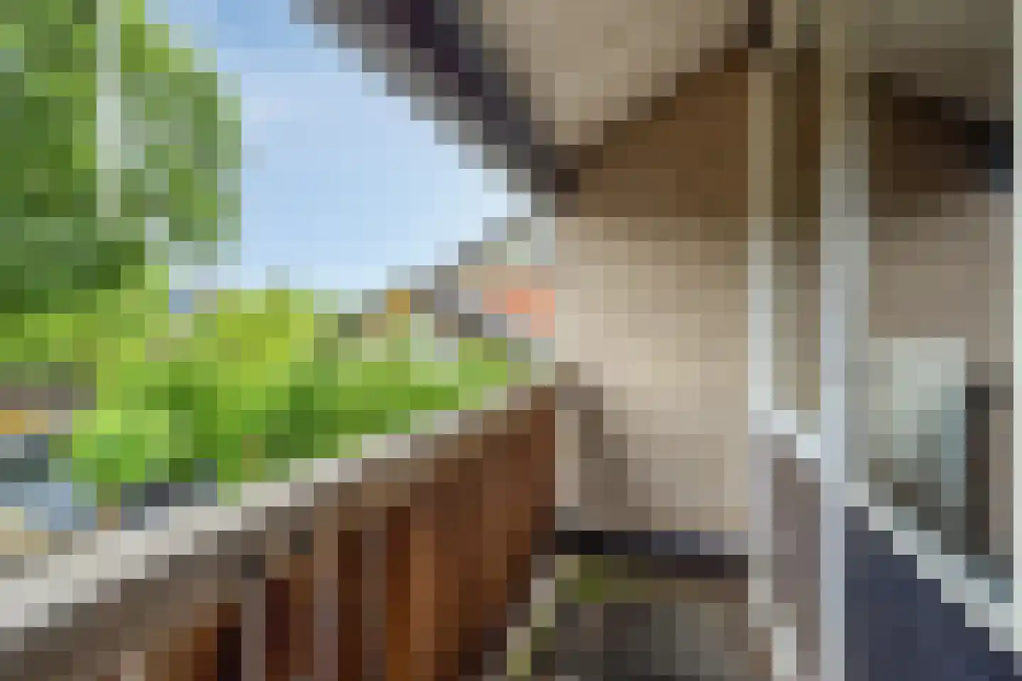 De Nolle 27 Haaksbergen thumbnail 27