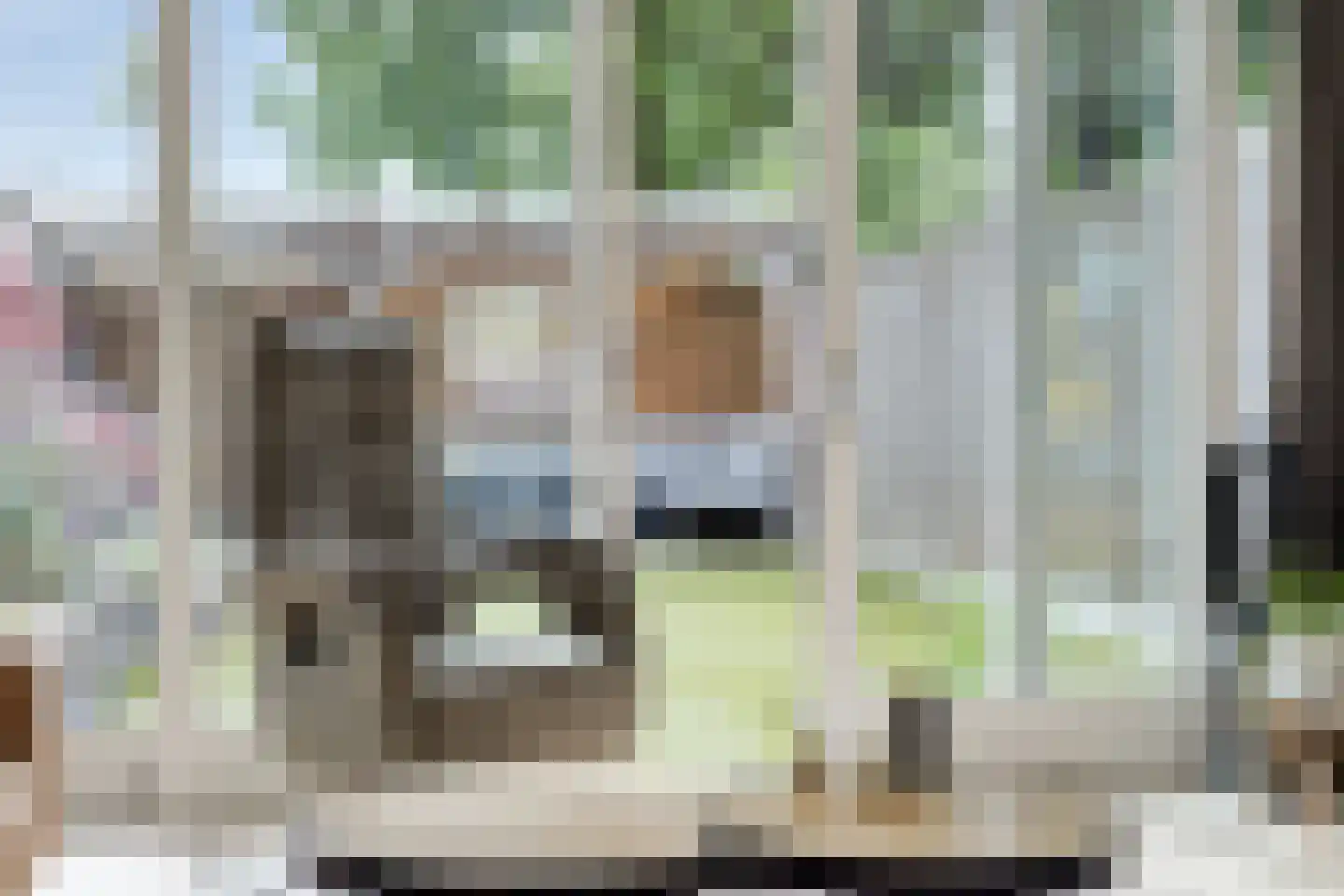 De Nolle 27 Haaksbergen thumbnail 9