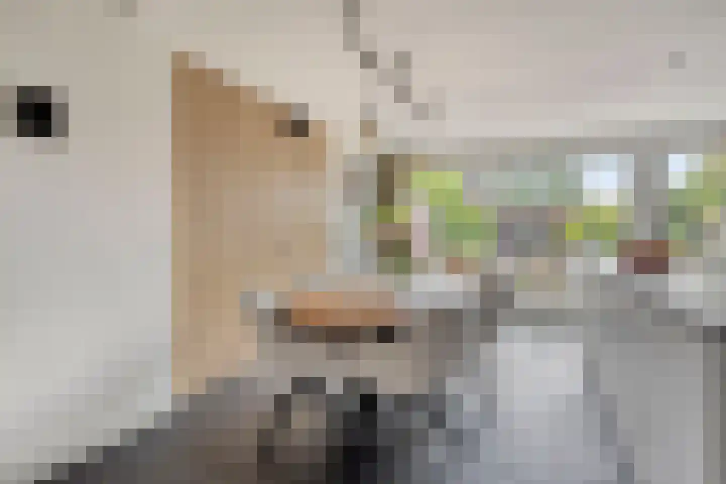 De Nolle 47 a Haaksbergen thumbnail 14