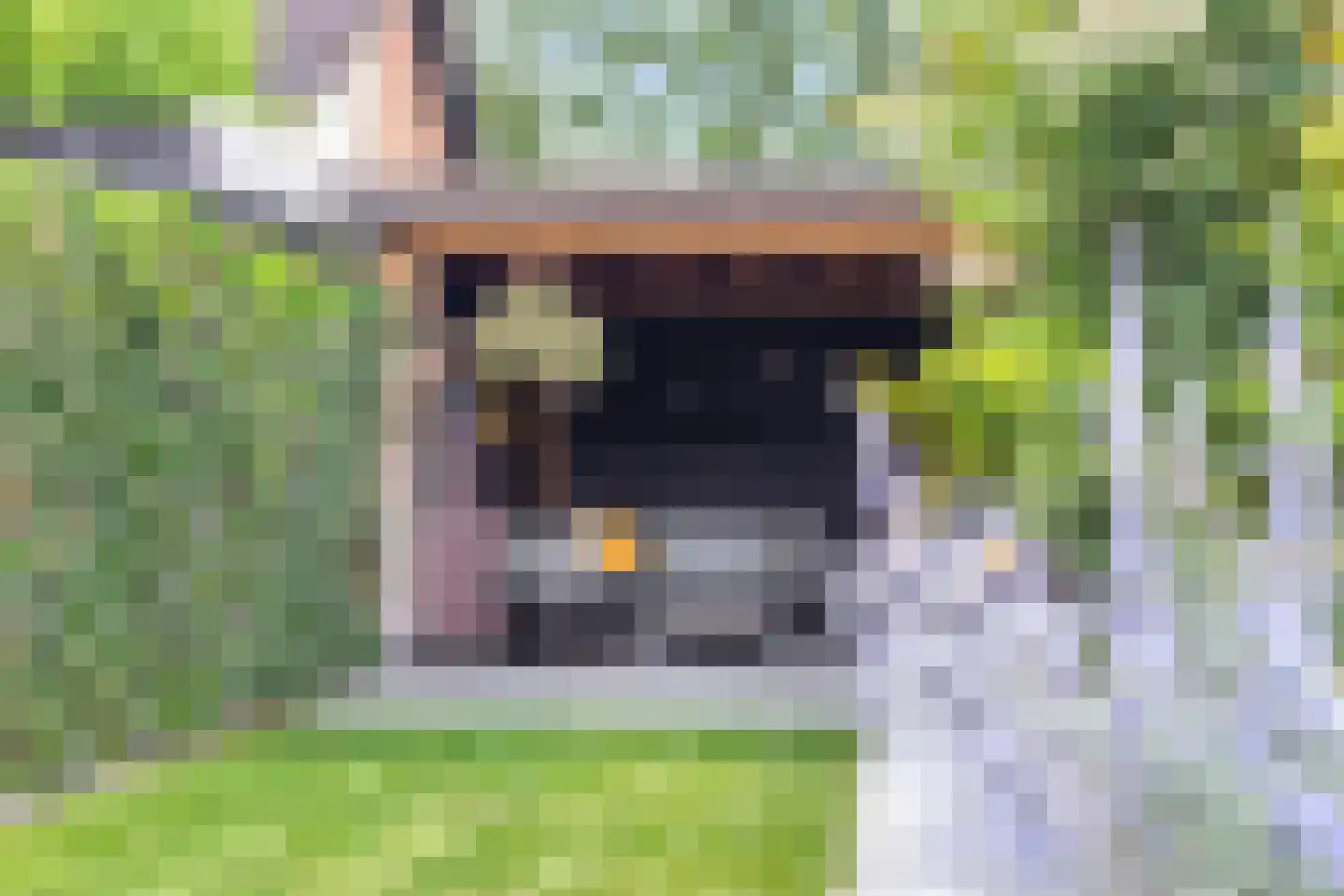 De Nolle 47 a Haaksbergen thumbnail 26