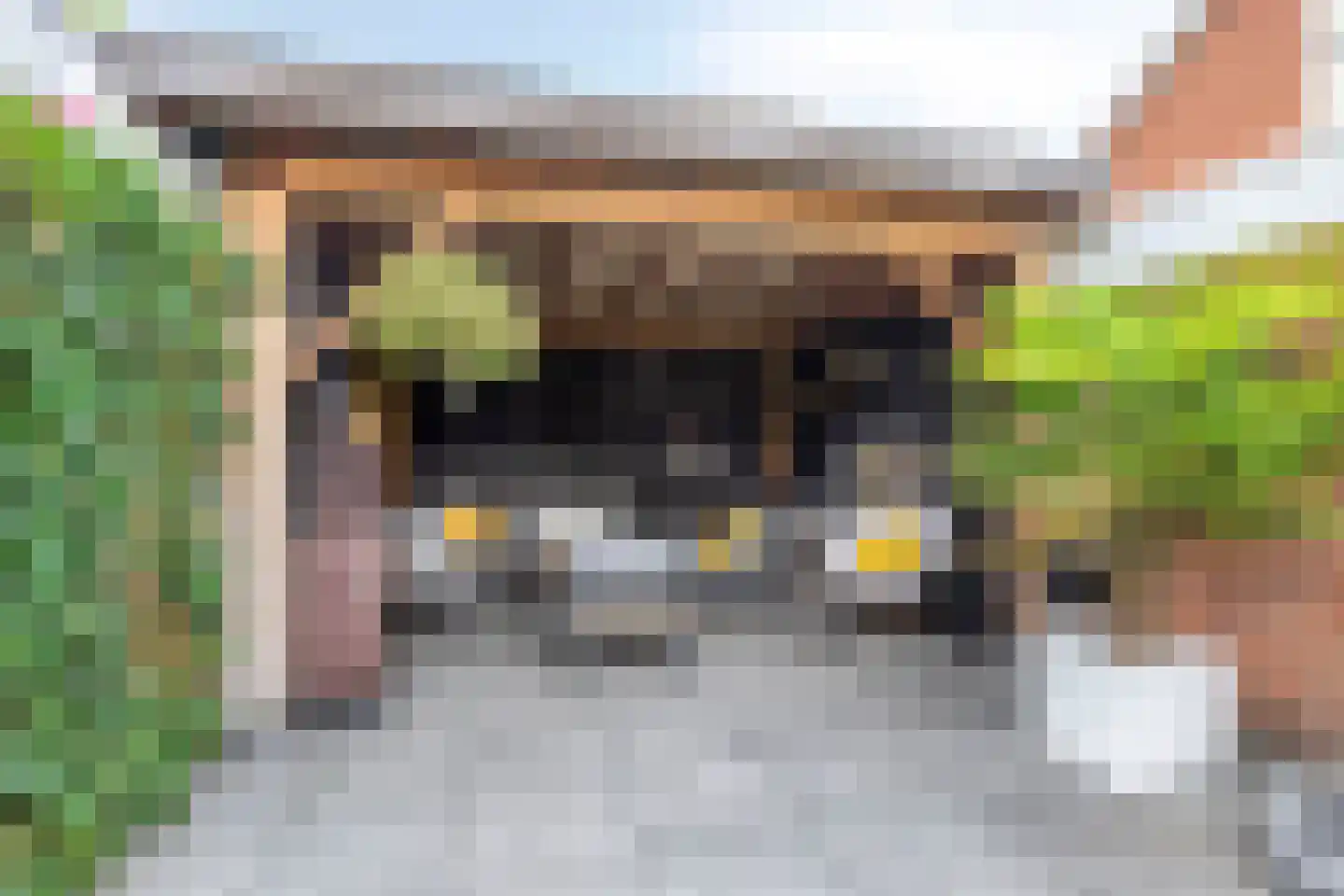 De Nolle 47 a Haaksbergen thumbnail 27