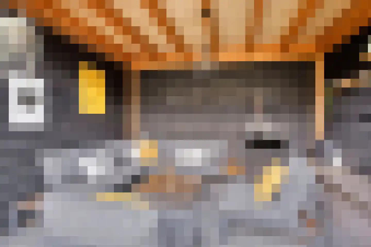De Nolle 47 a Haaksbergen thumbnail 28