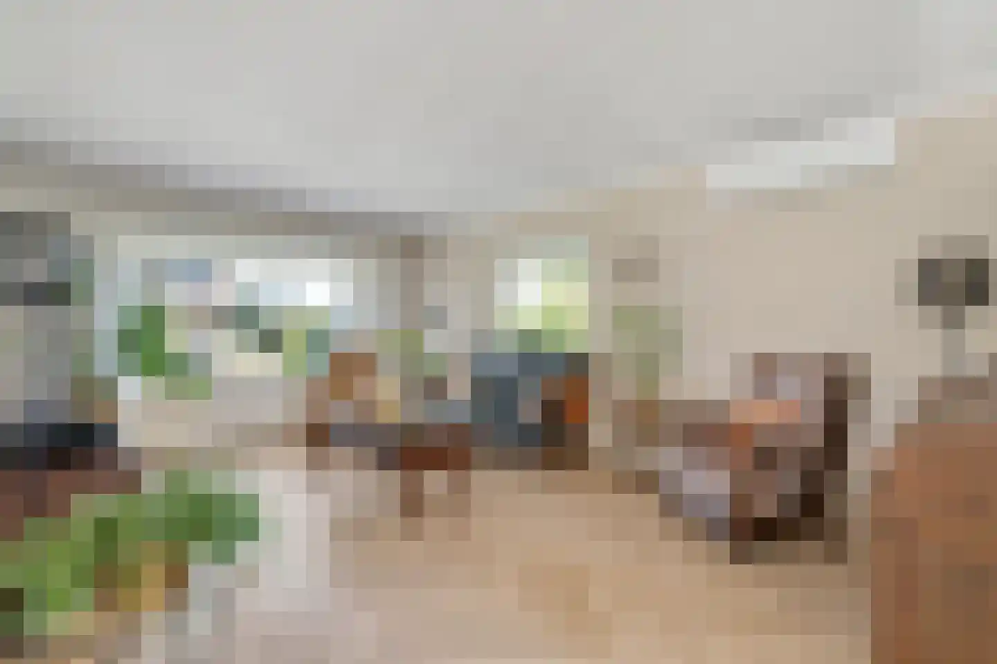de Noor 25 Haaksbergen thumbnail 11