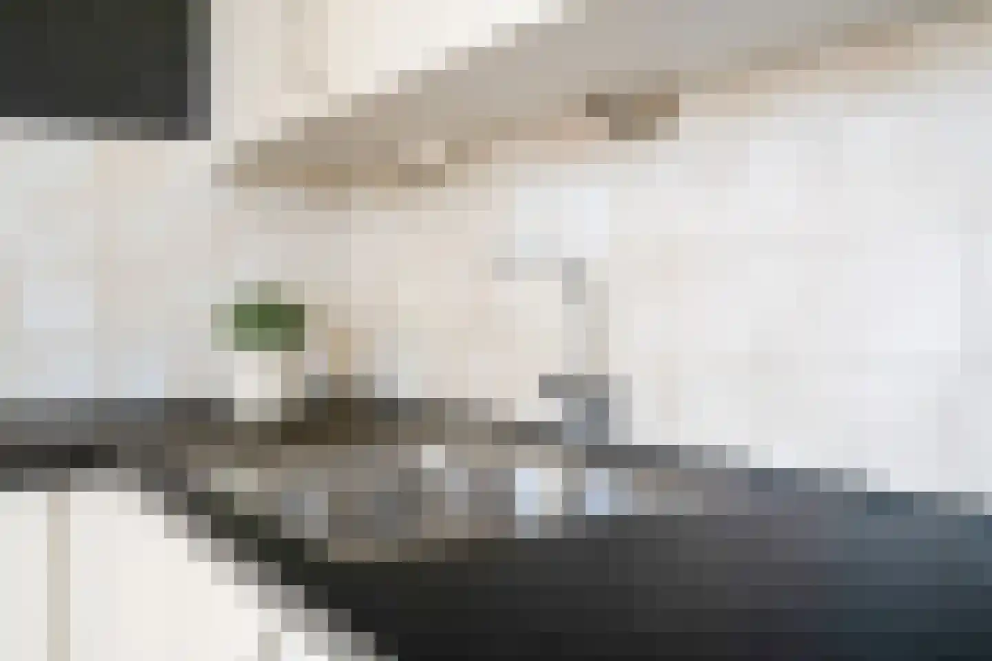 de Noor 25 Haaksbergen thumbnail 16