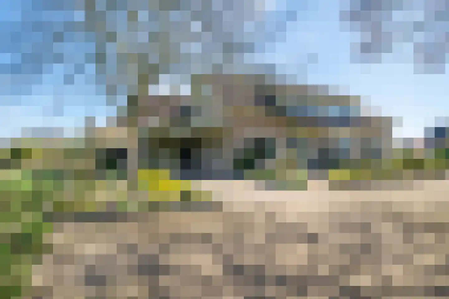 de Noor 25 Haaksbergen thumbnail 4