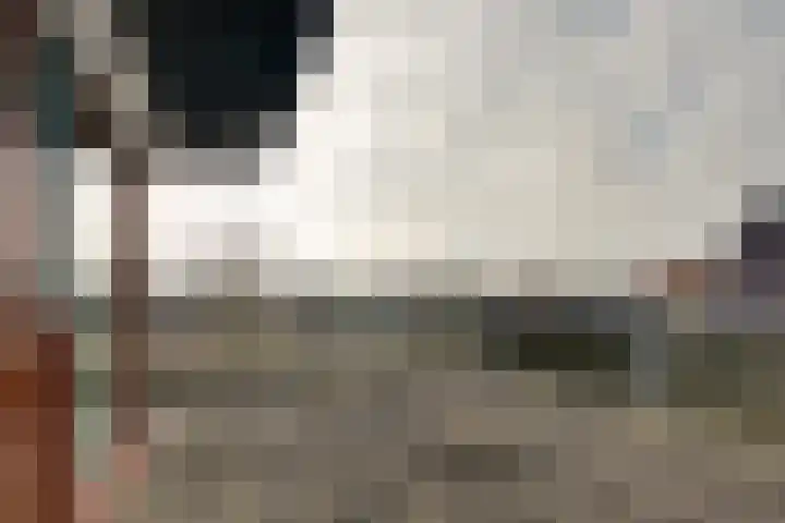 de Noord 12 Grootegast thumbnail 20