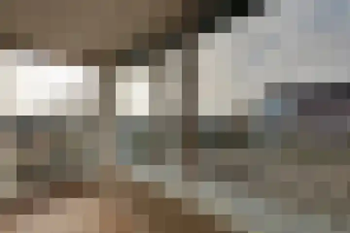 de Noord 12 Grootegast thumbnail 26