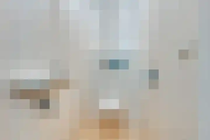 de Noord 12 Grootegast thumbnail 34