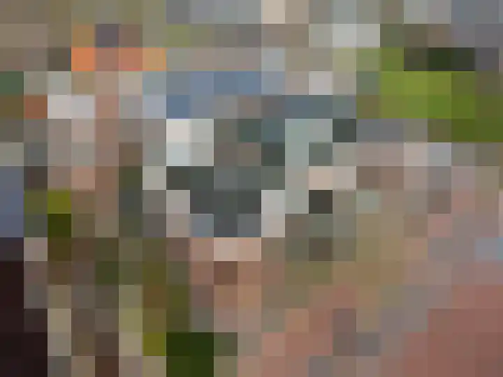 de Noord 12 Grootegast thumbnail 38