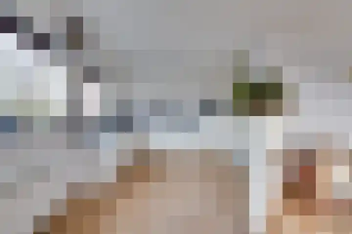 de Noord 12 Grootegast thumbnail 4