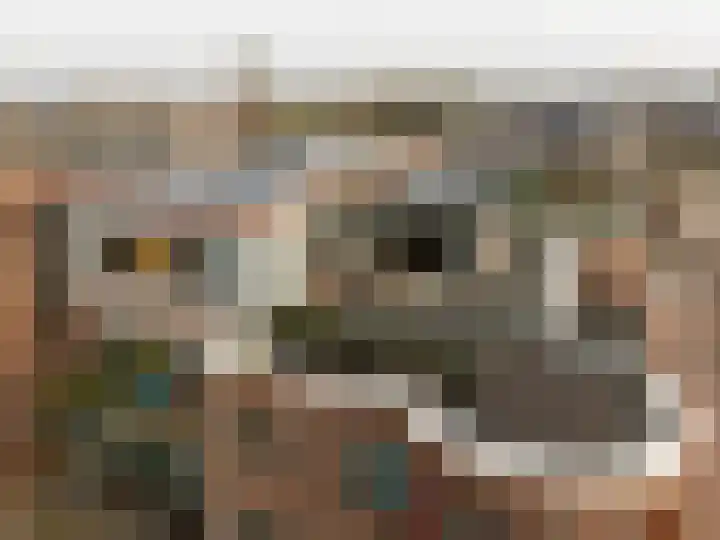 de Noord 12 Grootegast thumbnail 41