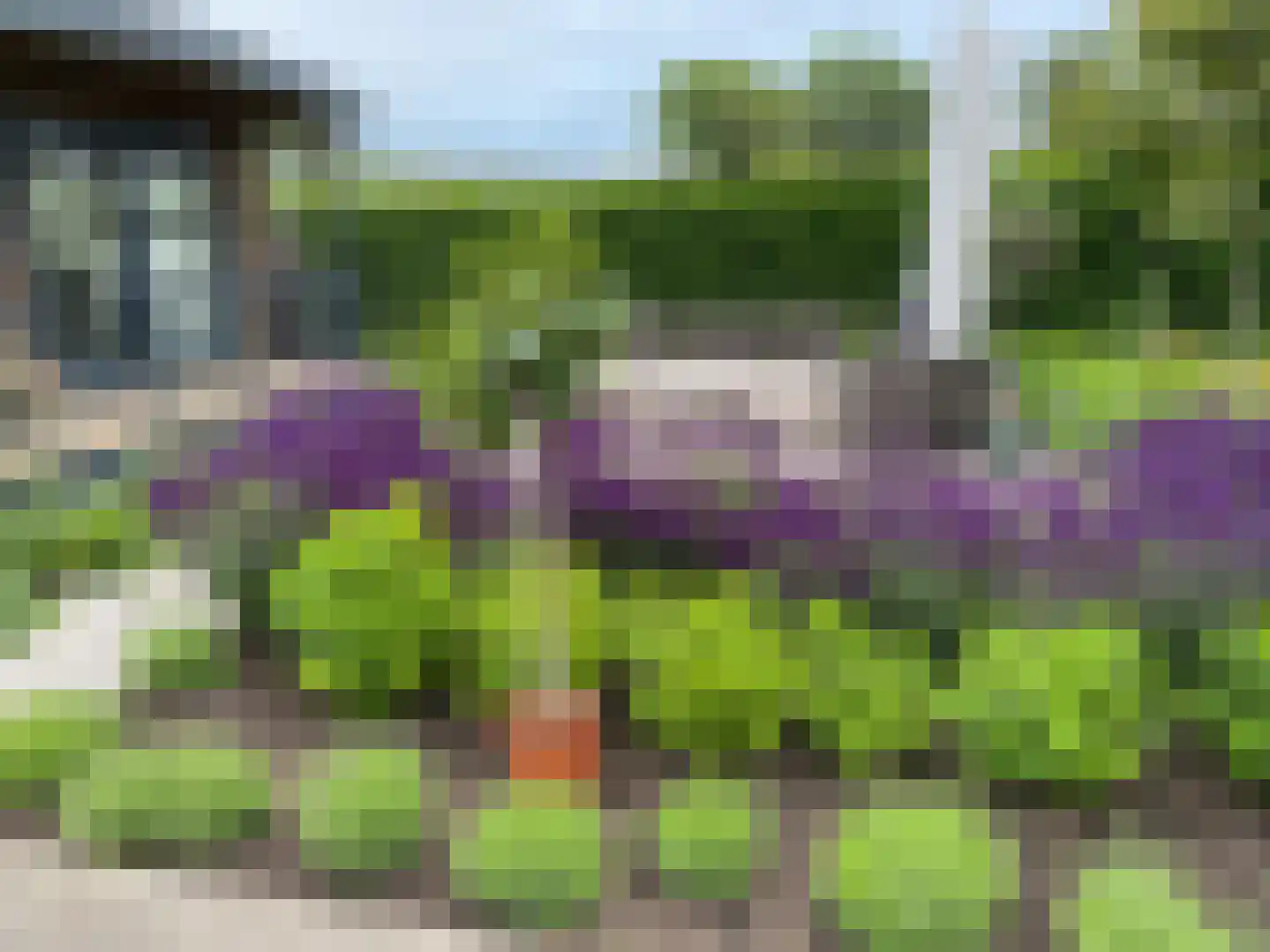 de Noord 126 IJsselmuiden thumbnail 27