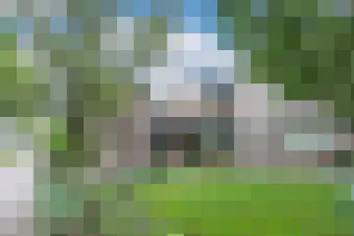 de Noord 19 Blaricum thumbnail 20
