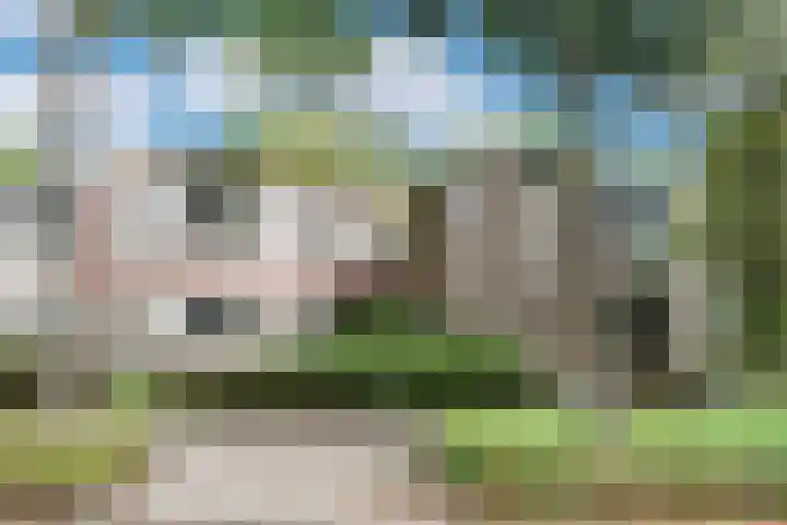 de Noord 19 Blaricum thumbnail 23