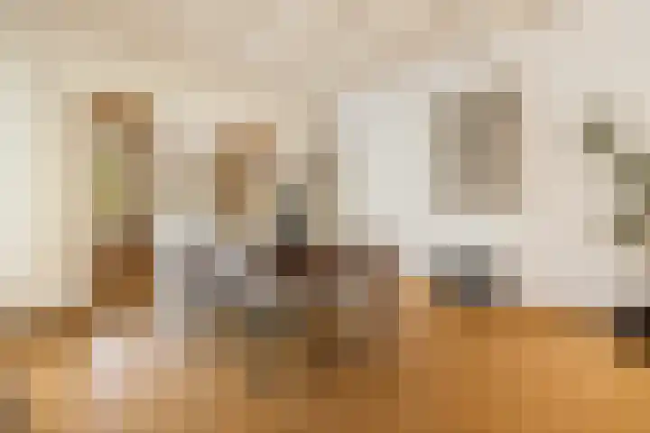 De Noord 21 Ilpendam thumbnail 10