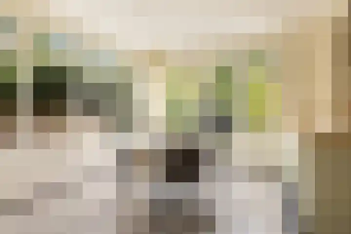 De Noord 21 Ilpendam thumbnail 12