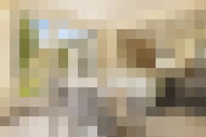 De Noord 21 Ilpendam thumbnail 14