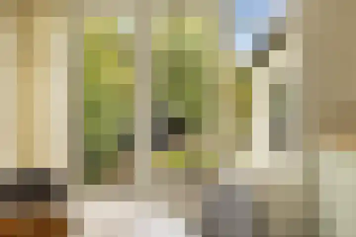 De Noord 21 Ilpendam thumbnail 15