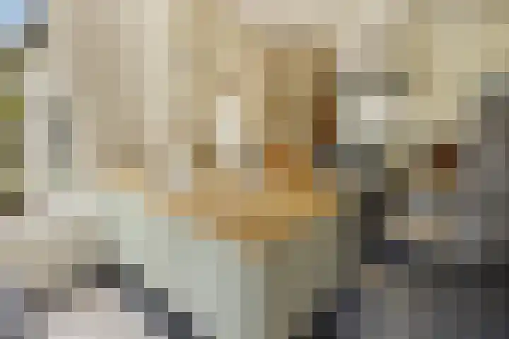 De Noord 21 Ilpendam thumbnail 16
