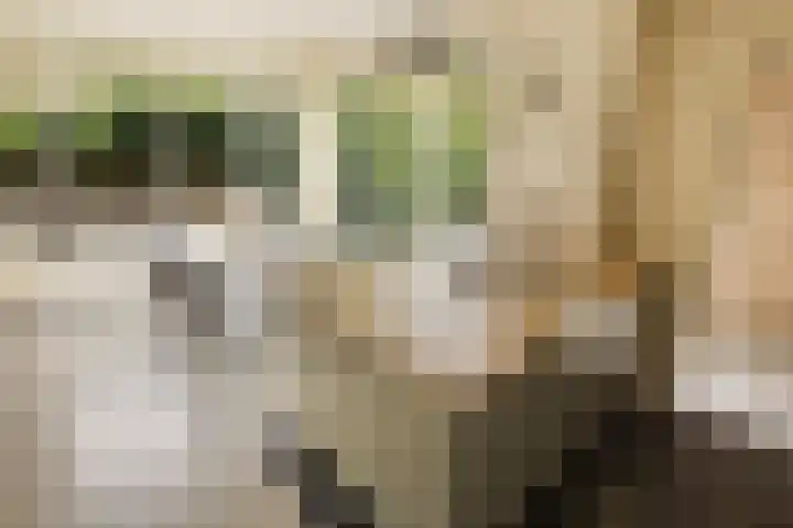 De Noord 21 Ilpendam thumbnail 18