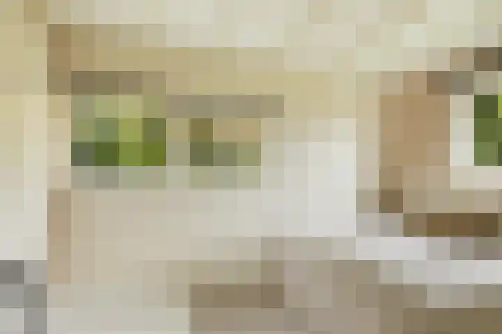 De Noord 21 Ilpendam thumbnail 20