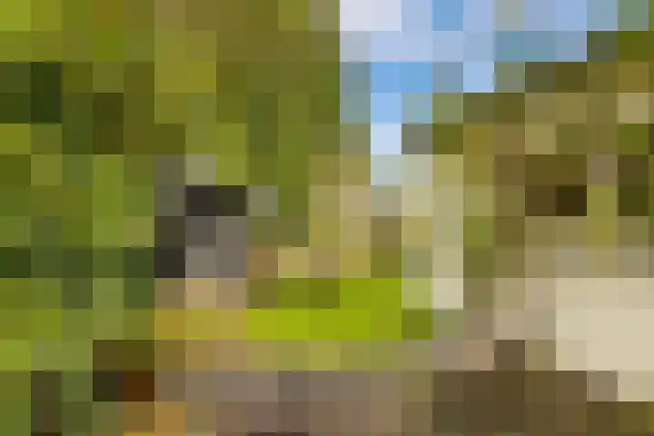 De Noord 21 Ilpendam thumbnail 23