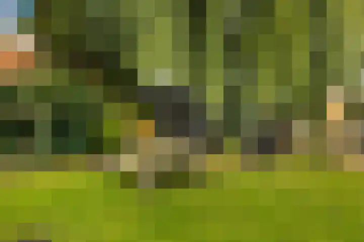 De Noord 21 Ilpendam thumbnail 24