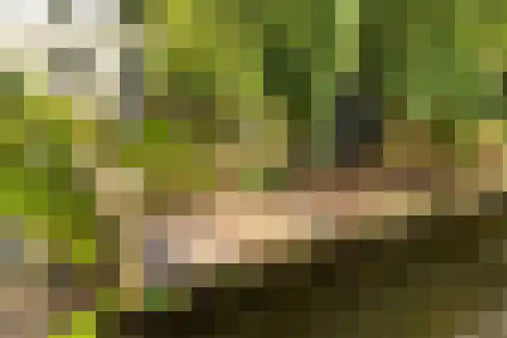 De Noord 21 Ilpendam thumbnail 25