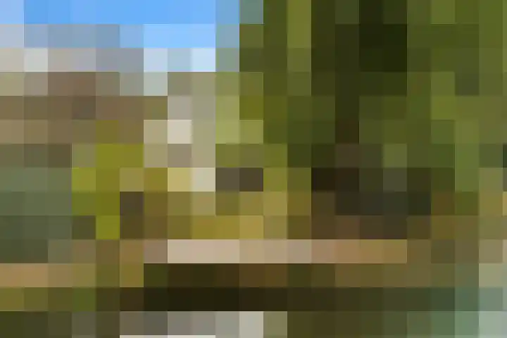 De Noord 21 Ilpendam thumbnail 26