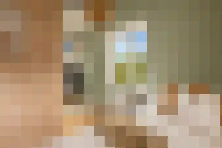 De Noord 21 Ilpendam thumbnail 29