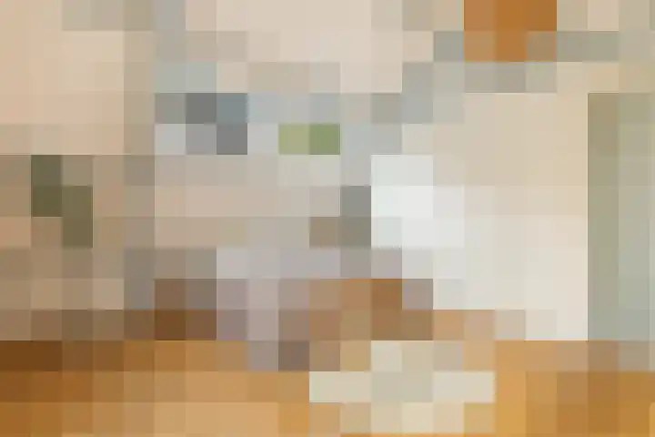 De Noord 21 Ilpendam thumbnail 31