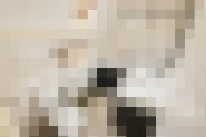 De Noord 21 Ilpendam thumbnail 36