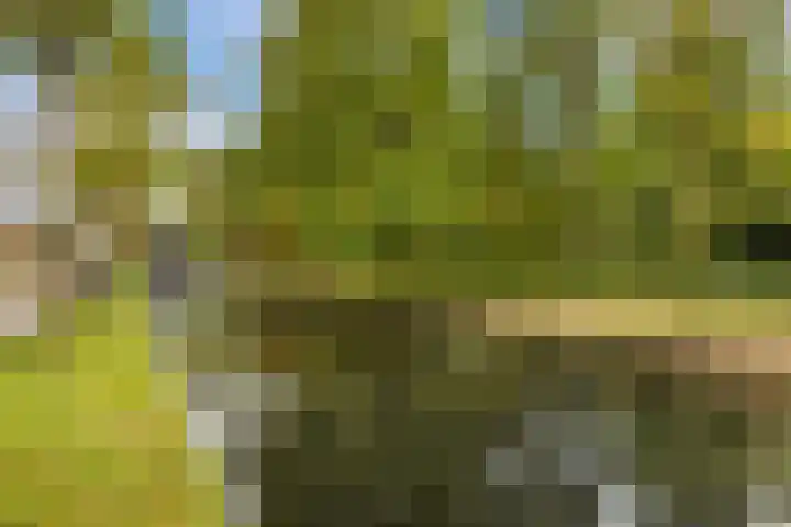 De Noord 21 Ilpendam thumbnail 37
