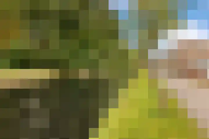 De Noord 21 Ilpendam thumbnail 38