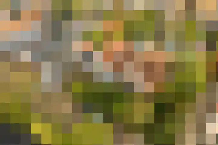 De Noord 21 Ilpendam thumbnail 39