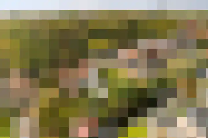 De Noord 21 Ilpendam thumbnail 40