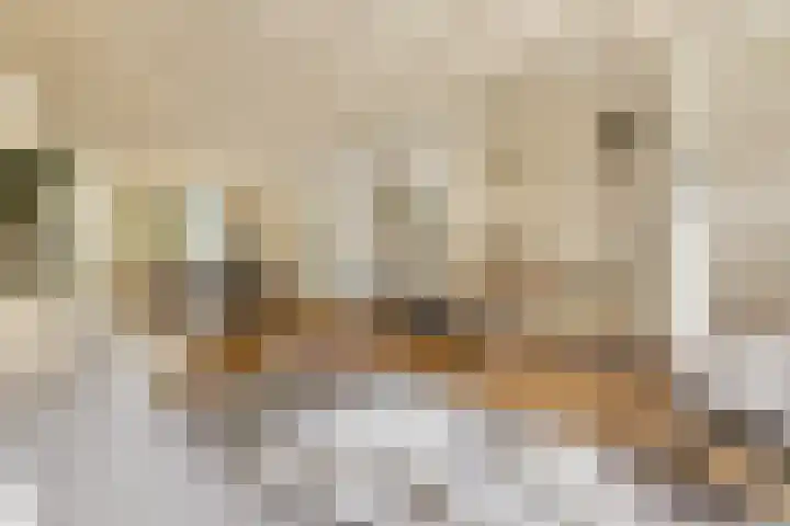 De Noord 21 Ilpendam thumbnail 6