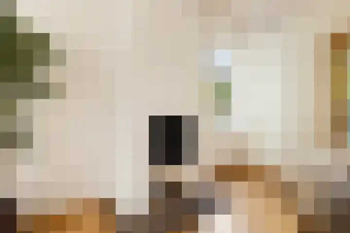 De Noord 21 Ilpendam thumbnail 8