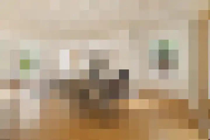 De Noord 21 Ilpendam thumbnail 9