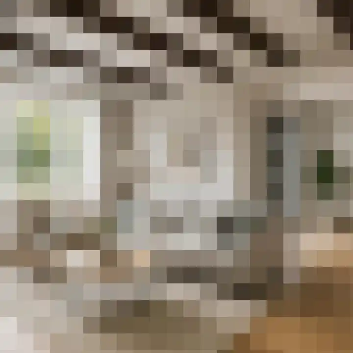 De Noord 27 Ilpendam thumbnail 14