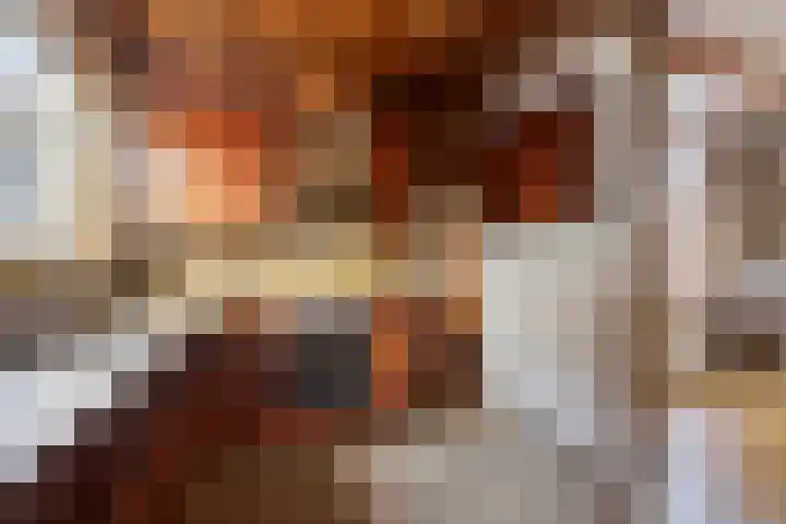 De Noord 27 Ilpendam thumbnail 18