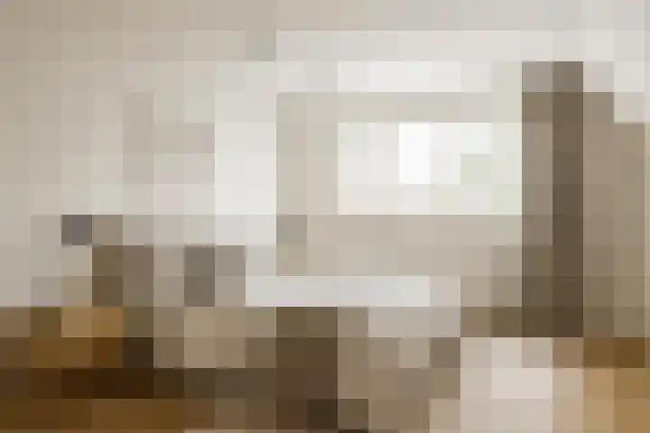 De Noord 27 Ilpendam thumbnail 24