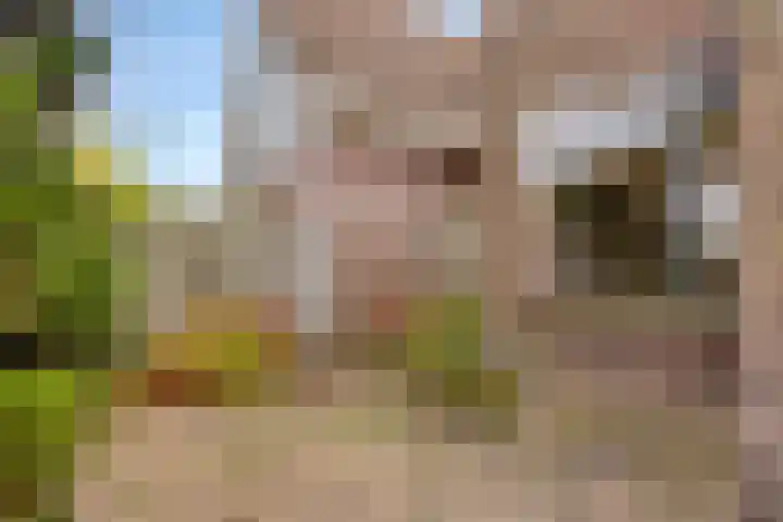 De Noord 27 Ilpendam thumbnail 31