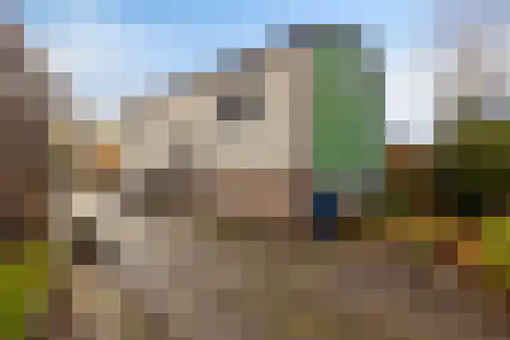 De Noord 27 Ilpendam thumbnail 34