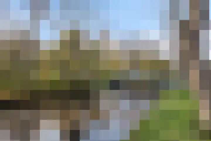 De Noord 27 Ilpendam thumbnail 46