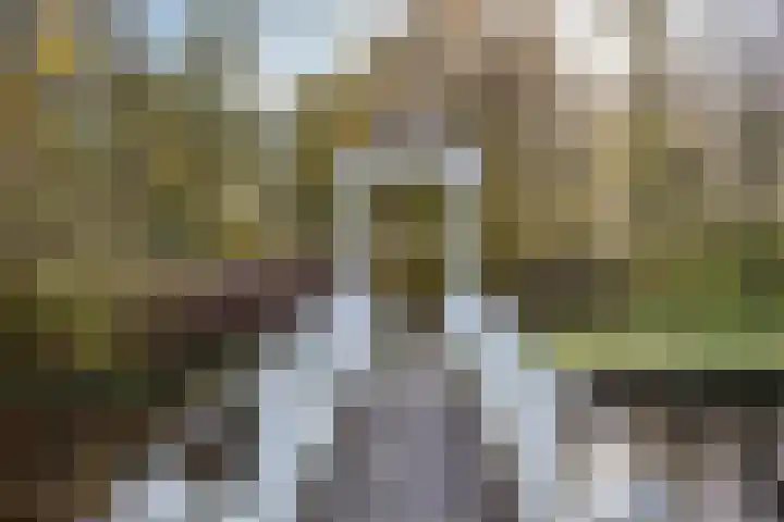 De Noord 27 Ilpendam thumbnail 47