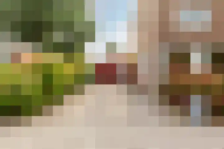 De Noord 28 Dronten thumbnail 31