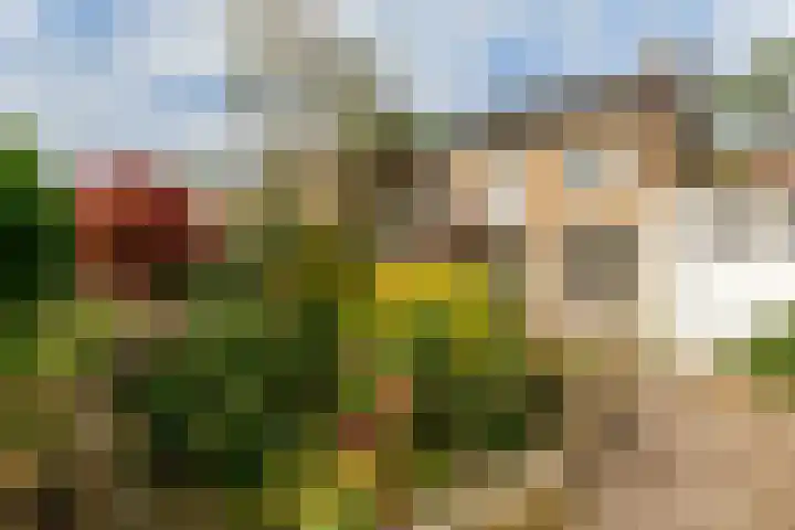 De Noord 28 Dronten thumbnail 34